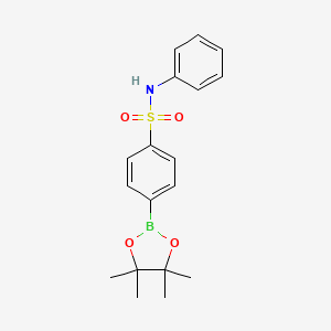 N-phenyl-4-(4,4,5,5-tetramethyl-1,3,2-dioxaborolan-2-yl)benzenesulfonamide