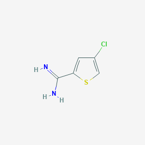 molecular formula C5H5ClN2S B12100006 4-Chlorothiophene-2-carboximidamide 