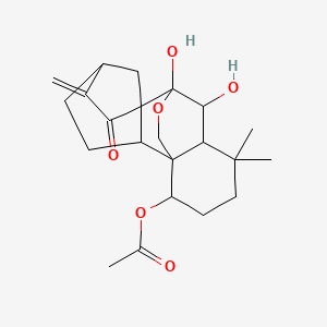 molecular formula C22H30O6 B12101538 (9,10-Dihydroxy-12,12-dimethyl-6-methylidene-7-oxo-17-oxapentacyclo[7.6.2.15,8.01,11.02,8]octadecan-15-yl) acetate 