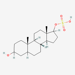 molecular formula C19H32O5S B1210158 Androstane-3,17-diol 17-sulfate CAS No. 24869-99-6