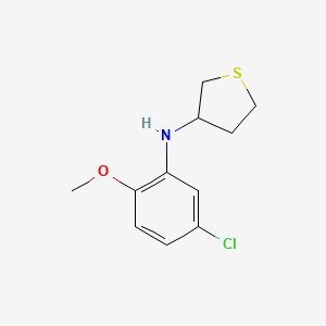 N-(5-chloro-2-methoxyphenyl)thiolan-3-amine