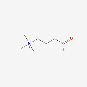 molecular formula C7H16NO+ B1210184 4-Trimethylammoniobutanal CAS No. 64595-66-0