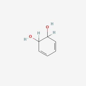 molecular formula C6H8O2 B1210185 3,5-Cyclohexadiene-1,2-diol CAS No. 75453-80-4