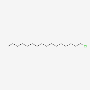 molecular formula C16H33Cl B1210310 1-氯十六烷 CAS No. 4860-03-1