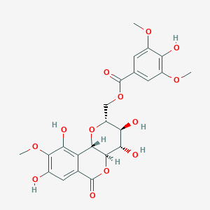 molecular formula C23H24O13 B12103252 Benzoic acid, 4-hydroxy-3,5-dimethoxy-, [(2R,3S,4S,4aR,10bS)-2,3,4,4a,6,10b-hexahydro-3,4,8,10-tetrahydroxy-9-methoxy-6-oxopyrano[3,2-c][2]benzopyran-2-yl]methyl ester 