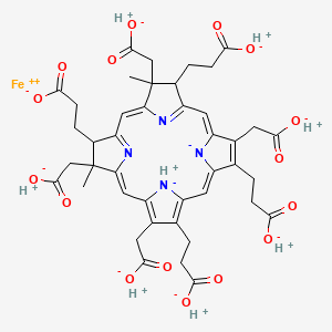 molecular formula C42H44FeN4O16 B1210439 Octacarboxylate iron-tetrahydroporphyrin CAS No. 52553-42-1