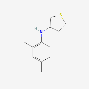 N-(2,4-dimethylphenyl)thiolan-3-amine