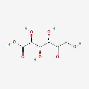 molecular formula C6H10O7 B1210606 keto-D-fructuronic acid CAS No. 13425-76-8