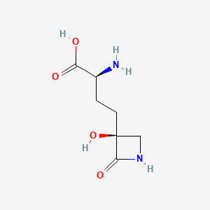 molecular formula C7H12N2O4 B1210633 脱氧棒曲霉素β-内酰胺 