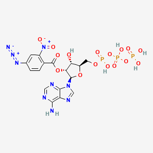 molecular formula C17H18N9O16P3 B1210709 3'(2')-O-(2-Nitro-4-azidobenzoyl)adenosine 5'-triphosphate CAS No. 99308-34-6