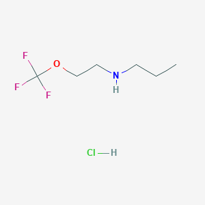 N-[2-(trifluoromethoxy)ethyl]propan-1-amine;hydrochloride