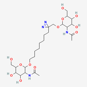 molecular formula C26H46N4O12 B12107273 N-[2-[8-[3-[[3-acetamido-4,5-dihydroxy-6-(hydroxymethyl)oxan-2-yl]oxymethyl]diazirin-3-yl]octoxy]-4,5-dihydroxy-6-(hydroxymethyl)oxan-3-yl]acetamide 