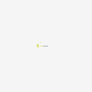 molecular formula CH3S- B1210775 Mercaptomethanide 