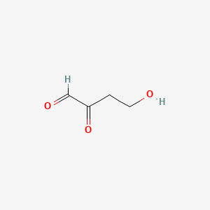 B1210844 4-Hydroxy-2-ketobutyraldehyde CAS No. 28119-61-1