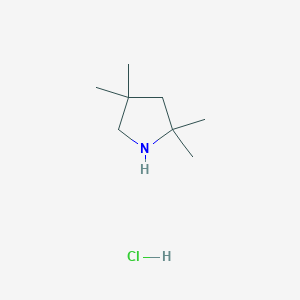 2,2,4,4-Tetramethylpyrrolidine hydrochloride