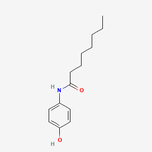molecular formula C14H21NO2 B1210897 4-Caprylamidophenol CAS No. 82568-64-7