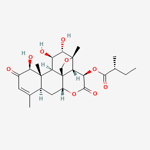 molecular formula C25H34O9 B1211103 Simalikilactone D CAS No. 35321-80-3