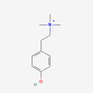 molecular formula C11H18NO+ B1211171 Candicine CAS No. 6656-13-9