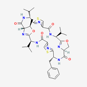 molecular formula C37H46N8O6S2 B1211204 Patellamide F 