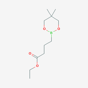 molecular formula C11H21BO4 B12114042 Ethyl 4-(5,5-dimethyl-1,3,2-dioxaborinan-2-yl)butanoate 