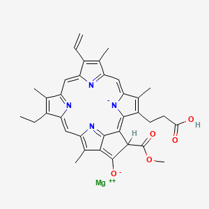 molecular formula C35H32MgN4O5 B1211626 原叶绿素a CAS No. 20369-67-9