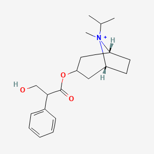molecular formula C20H30NO3+ B1211636 3-羟基-2-苯基丙酸[(1R,5R)-8-甲基-8-丙-2-基-8-氮杂双环[3.2.1]辛烷-3-基]酯 