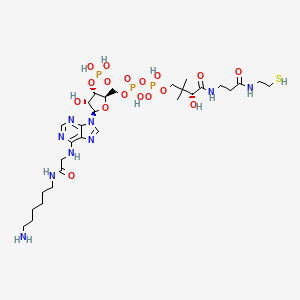 molecular formula C29H52N9O17P3S B1211971 [[(2R,3S,4R,5R)-5-[6-[[2-(6-aminohexylamino)-2-oxoethyl]amino]purin-9-yl]-4-hydroxy-3-phosphonooxyoxolan-2-yl]methoxy-hydroxyphosphoryl] [(3R)-3-hydroxy-2,2-dimethyl-4-oxo-4-[[3-oxo-3-(2-sulfanylethylamino)propyl]amino]butyl] hydrogen phosphate CAS No. 71974-85-1