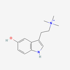 molecular formula C13H19N2O+ B1211988 Bufoteninium CAS No. 60657-23-0