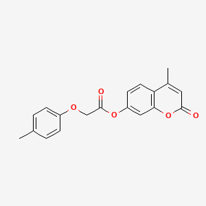 molecular formula C19H16O5 B12120747 4-methyl-2-oxo-2H-chromen-7-yl (4-methylphenoxy)acetate 