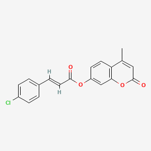 molecular formula C19H13ClO4 B12121186 4-methyl-2-oxochromen-7-yl (2E)-3-(4-chlorophenyl)prop-2-enoate 