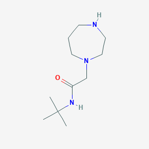 N-(tert-butyl)-2-(1,4-diazepan-1-yl)acetamide