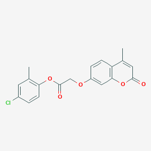 molecular formula C19H15ClO5 B12126463 4-chloro-2-methylphenyl [(4-methyl-2-oxo-2H-chromen-7-yl)oxy]acetate 