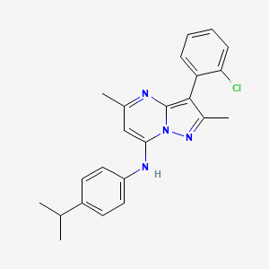 molecular formula C23H23ClN4 B12126876 3-(2-chlorophenyl)-2,5-dimethyl-N-[4-(propan-2-yl)phenyl]pyrazolo[1,5-a]pyrimidin-7-amine 