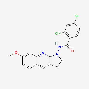 2,4-dichloro-N-(7-methoxy-2,3-dihydro-1H-pyrrolo[2,3-b]quinolin-1-yl)benzamide