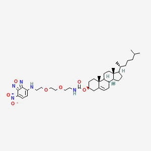molecular formula C40H61N5O7 B1212777 Nbd-chol CAS No. 80685-24-1