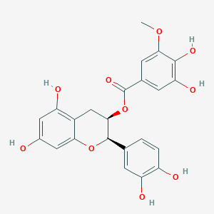 molecular formula C23H20O10 B1212812 Epicatechin 3-O-(3-O-methylgallate) CAS No. 83104-86-3