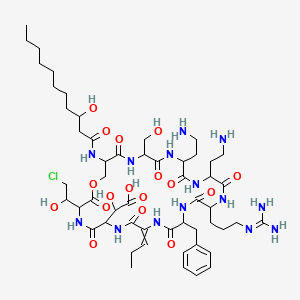 molecular formula C53H85ClN14O17 B1212849 2-[18,21-Bis(2-aminoethyl)-12-benzyl-3-(2-chloro-1-hydroxyethyl)-15-[3-(diaminomethylideneamino)propyl]-24-(hydroxymethyl)-27-(3-hydroxyundecanoylamino)-2,5,8,11,14,17,20,23,26-nonaoxo-9-propylidene-1-oxa-4,7,10,13,16,19,22,25-octazacyclooctacos-6-yl]-2-hydroxyacetic acid 
