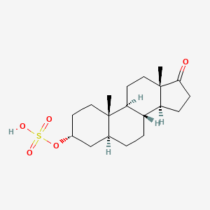 molecular formula C19H30O5S B1212888 Androsterone sulfate CAS No. 2479-86-9