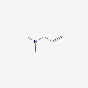 molecular formula C5H11N B1213430 N,N-Dimethylallylamine CAS No. 2155-94-4