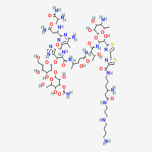 molecular formula C68H110N22O27S2 B1213582 Tallysomycin A CAS No. 65057-90-1