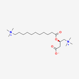 molecular formula C21H43N2O4+ B1213637 11-Trimethylaminoundecanoyl-L-carnitine CAS No. 61102-30-5