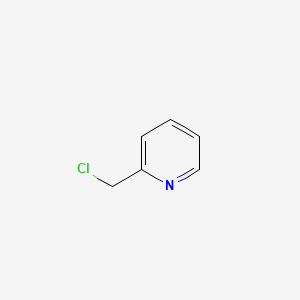 molecular formula C6H6ClN B1213738 2-(氯甲基)吡啶 CAS No. 4377-33-7