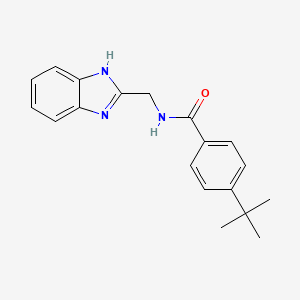 N-(1H-benzimidazol-2-ylmethyl)-4-tert-butylbenzamide