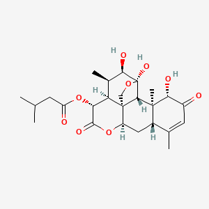 molecular formula C25H34O9 B1213889 Castelanone 