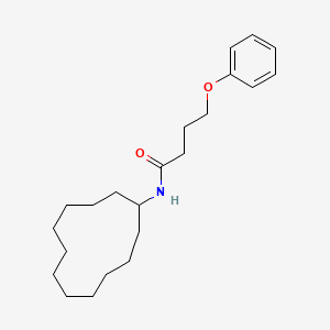 N-cyclododecyl-4-phenoxybutanamide