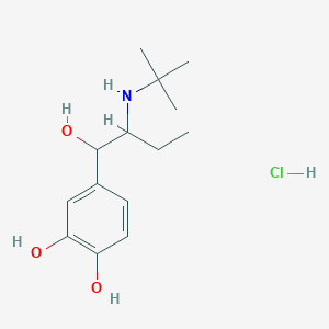 molecular formula C14H24ClNO3 B1213927 1-(3,4-Dihydroxyphenyl)-2-tert-butyl-1-butanol hydrochloride CAS No. 51264-24-5