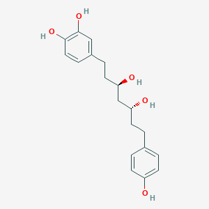 molecular formula C19H24O5 B1214113 4-[(3R,5R)-3,5-二羟基-7-(4-羟基苯基)庚基]苯-1,2-二醇 CAS No. 408324-00-5