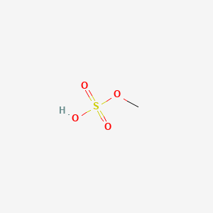 molecular formula CH4O4S B1214279 Methyl sulfate CAS No. 75-93-4