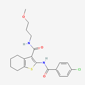 molecular formula C20H23ClN2O3S B12143730 2-{[(4-chlorophenyl)carbonyl]amino}-N-(3-methoxypropyl)-4,5,6,7-tetrahydro-1-benzothiophene-3-carboxamide CAS No. 876708-71-3