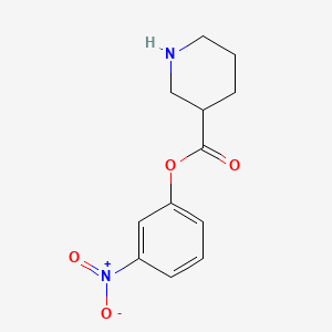 molecular formula C12H14N2O4 B1214395 3-Piperidinecarboxylic acid 3-nitrophenyl ester 